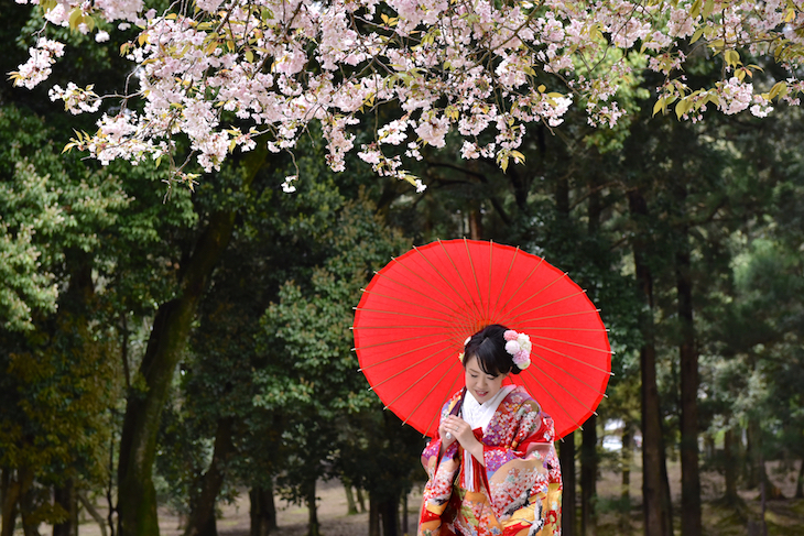 ソメイヨシノや遅咲きの桜での前撮りロケフォト写真