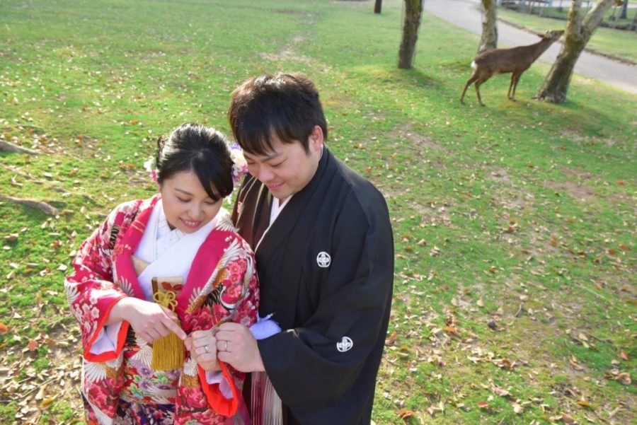 結婚式の前撮りを奈良の桜での写真