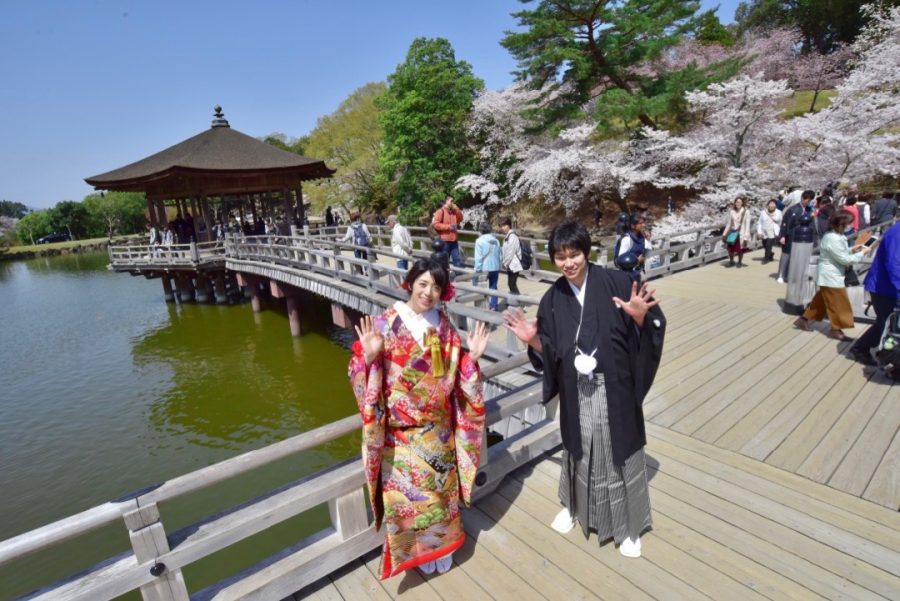 奈良で結婚式の前撮りを桜での写真