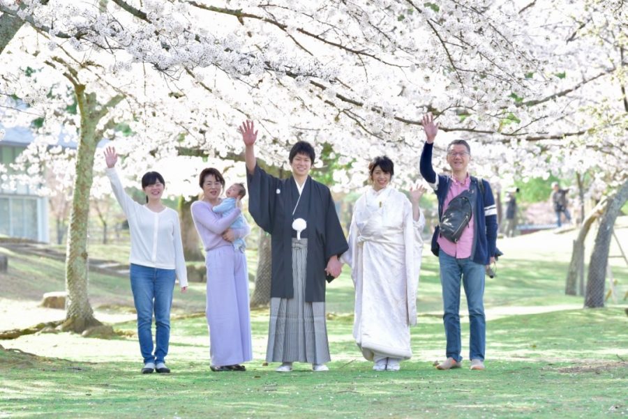 奈良で結婚式の前撮りを桜での写真