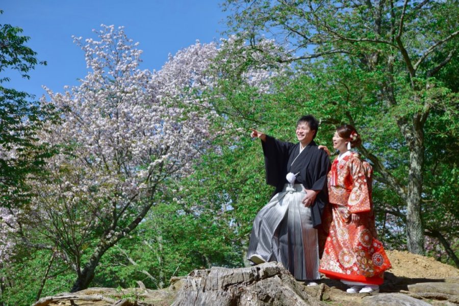 奈良の桜で前撮りを洋髪ヘアスタイルの写真