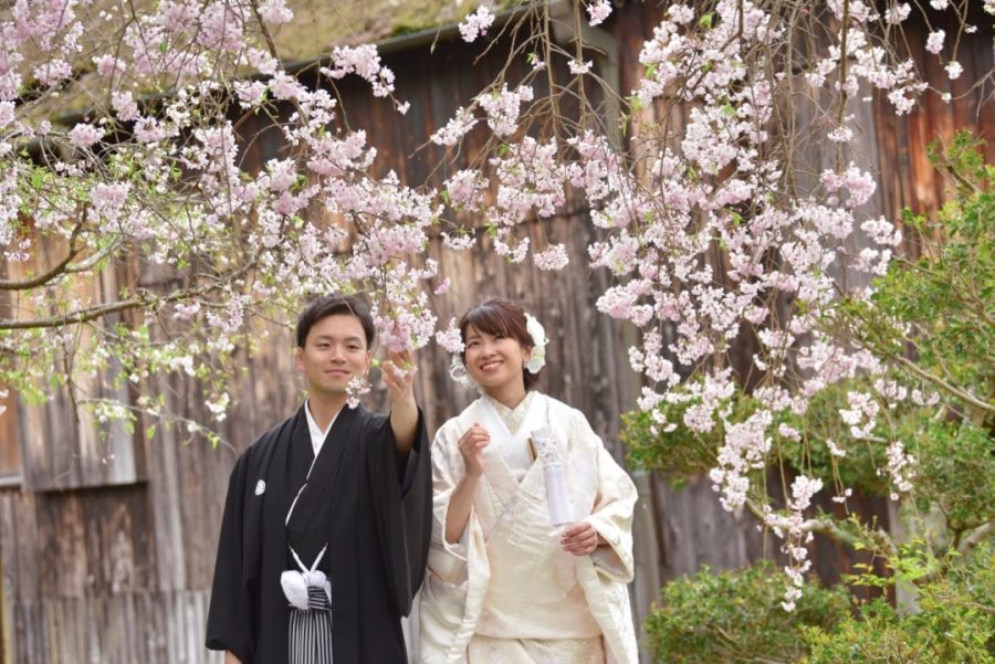 奈良で桜の菜の花の前撮りの写真
