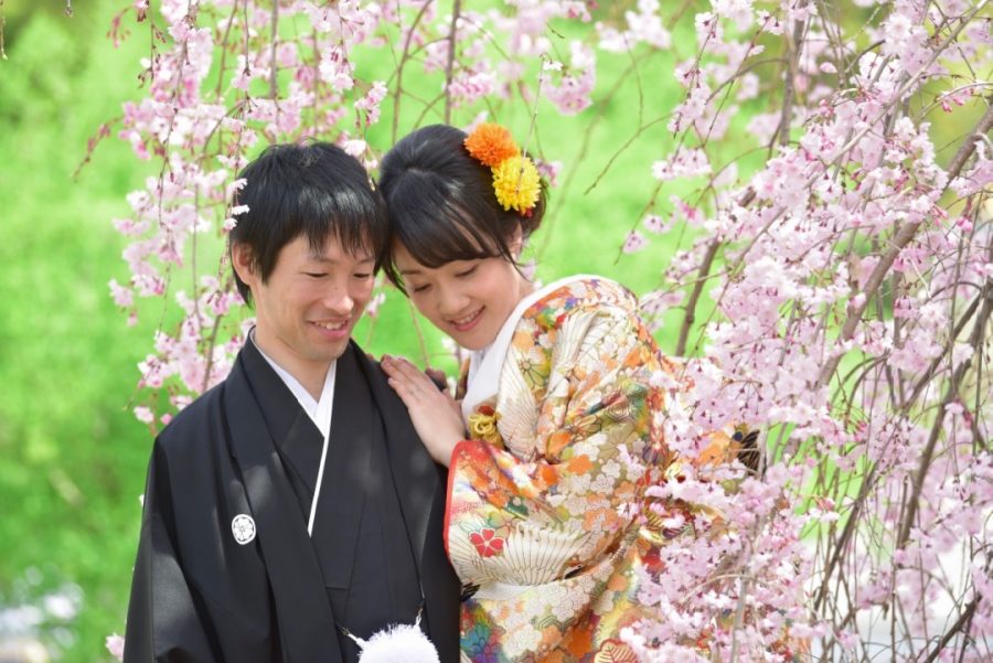 奈良の結婚式の前撮り和装で桜の菜の花の写真