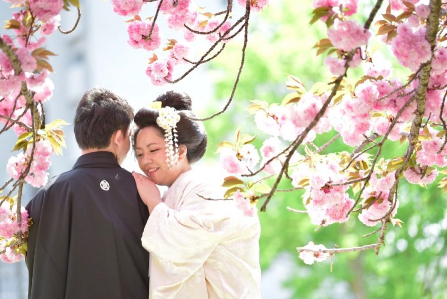 桜と菜の花の前撮りを地毛で日本髪の写真