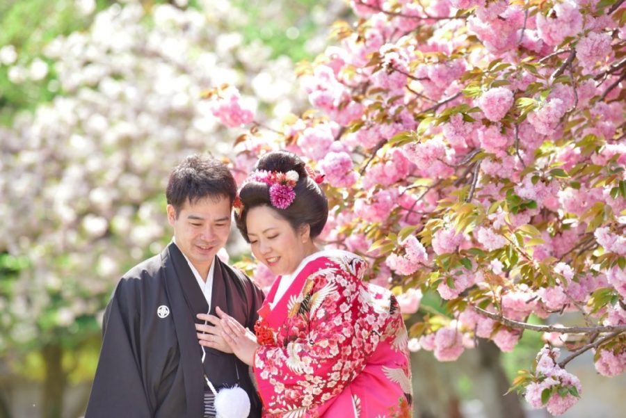 桜と菜の花の前撮りを地毛で日本髪の写真