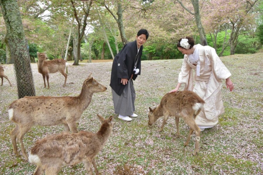 岡山から結婚式の前撮りの写真