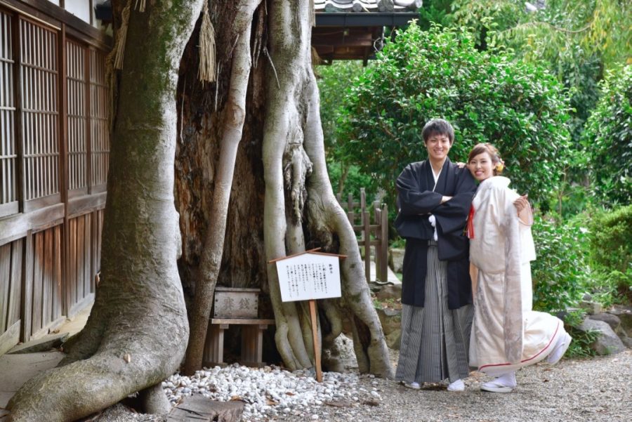 本薬師寺跡と藤原宮跡と神社と奈良公園で前撮り