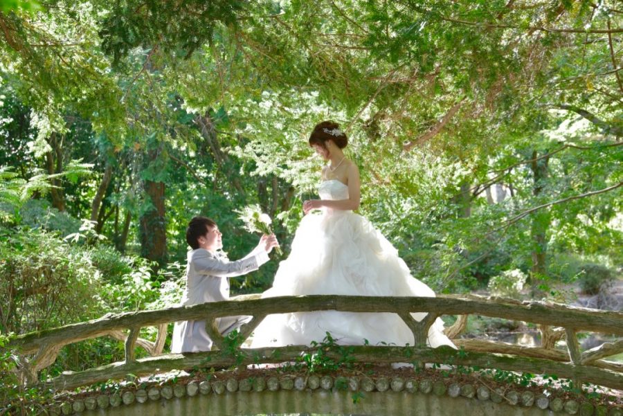 京都植物園でウエディングドレスで前撮り撮影