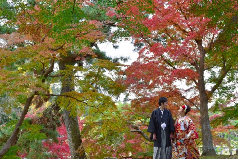 結婚式の和装前撮りを紅葉の奈良公園で撮影