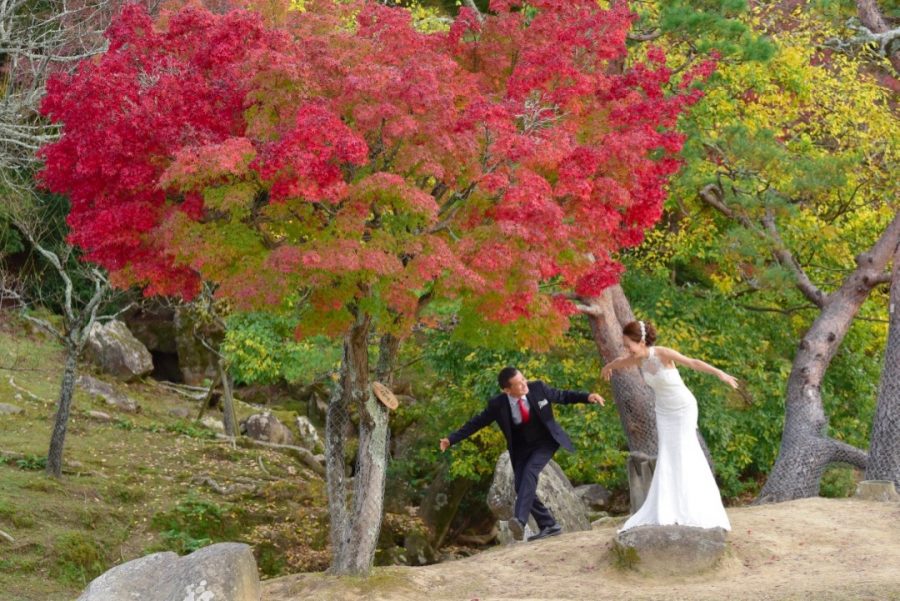 奈良公園でドレスの前撮りロケーション撮影