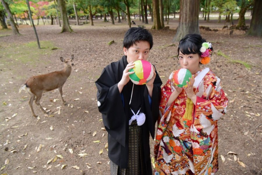 結婚式の前撮りを紅葉の奈良公園とコスモスの撮影