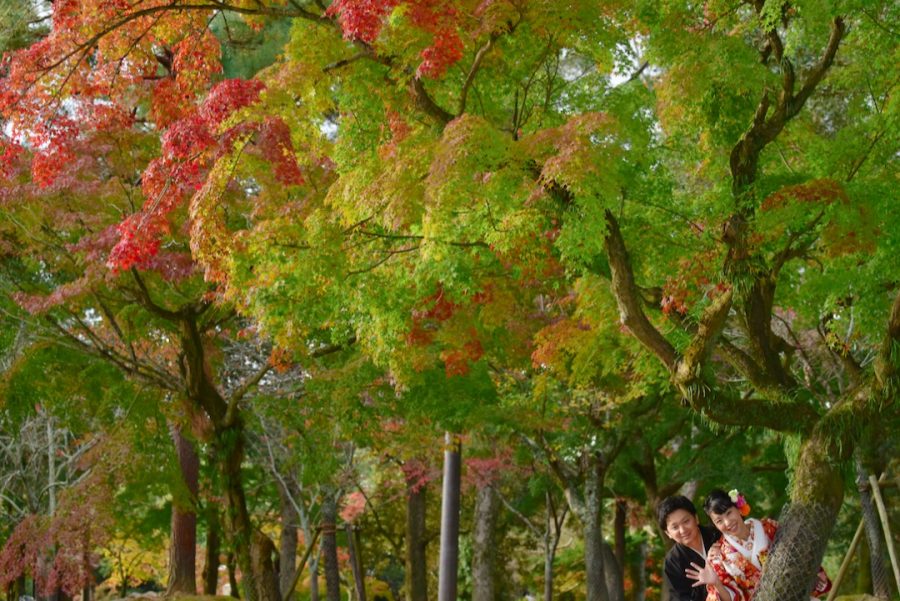 結婚式の前撮りを紅葉の奈良公園とコスモスの撮影