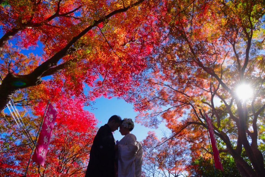 紅葉の吉野山の吉水神社の結婚式