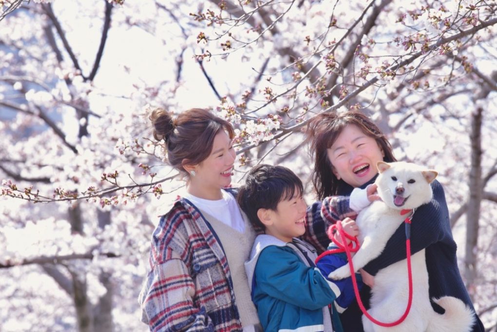 桜の樹の下での家族写真