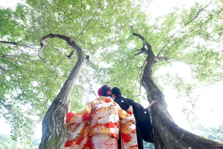 nara-kimono-wedding-photo-7