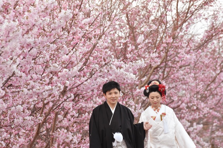 桜と菜の花で奈良で結婚式の和装の前撮りを地毛の日本髪の写真