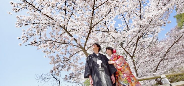 滋賀県から桜の前撮り