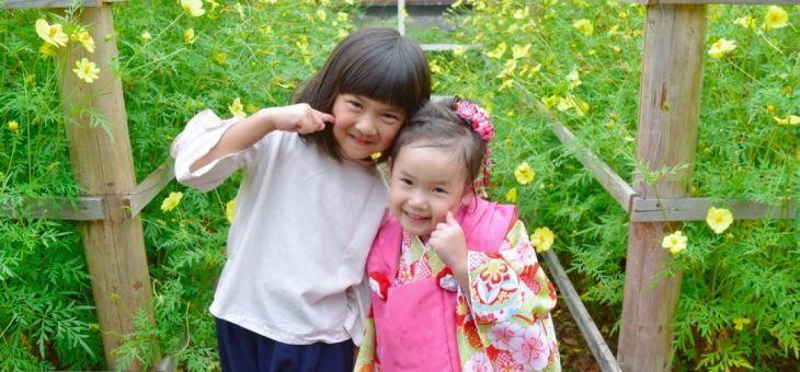 安倍文殊院で七五三写真はコスモスが満開な10月に！