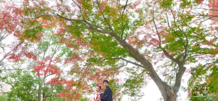 和装の前撮りは奈良の紅葉がベストタイミングな写真21枚でチェック