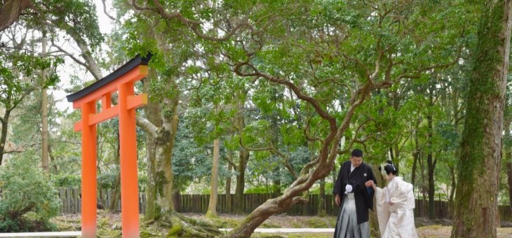 冬の和装前撮りは奈良公園なら緑もありました！写真19枚でチェック