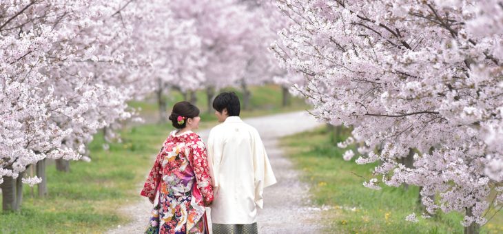 前撮りを桜で撮るにはどの時期が1番ベストなタイミング？